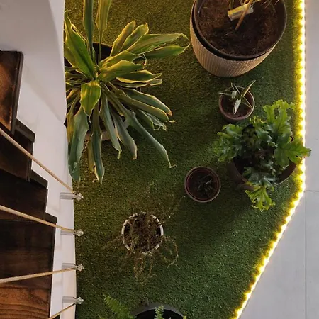 Sur La Route Des Vins - Maison Design - 科尔马