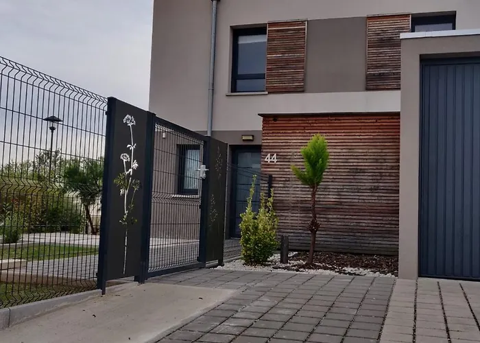 Sur La Route Des Vins - Maison Design - * 科尔马